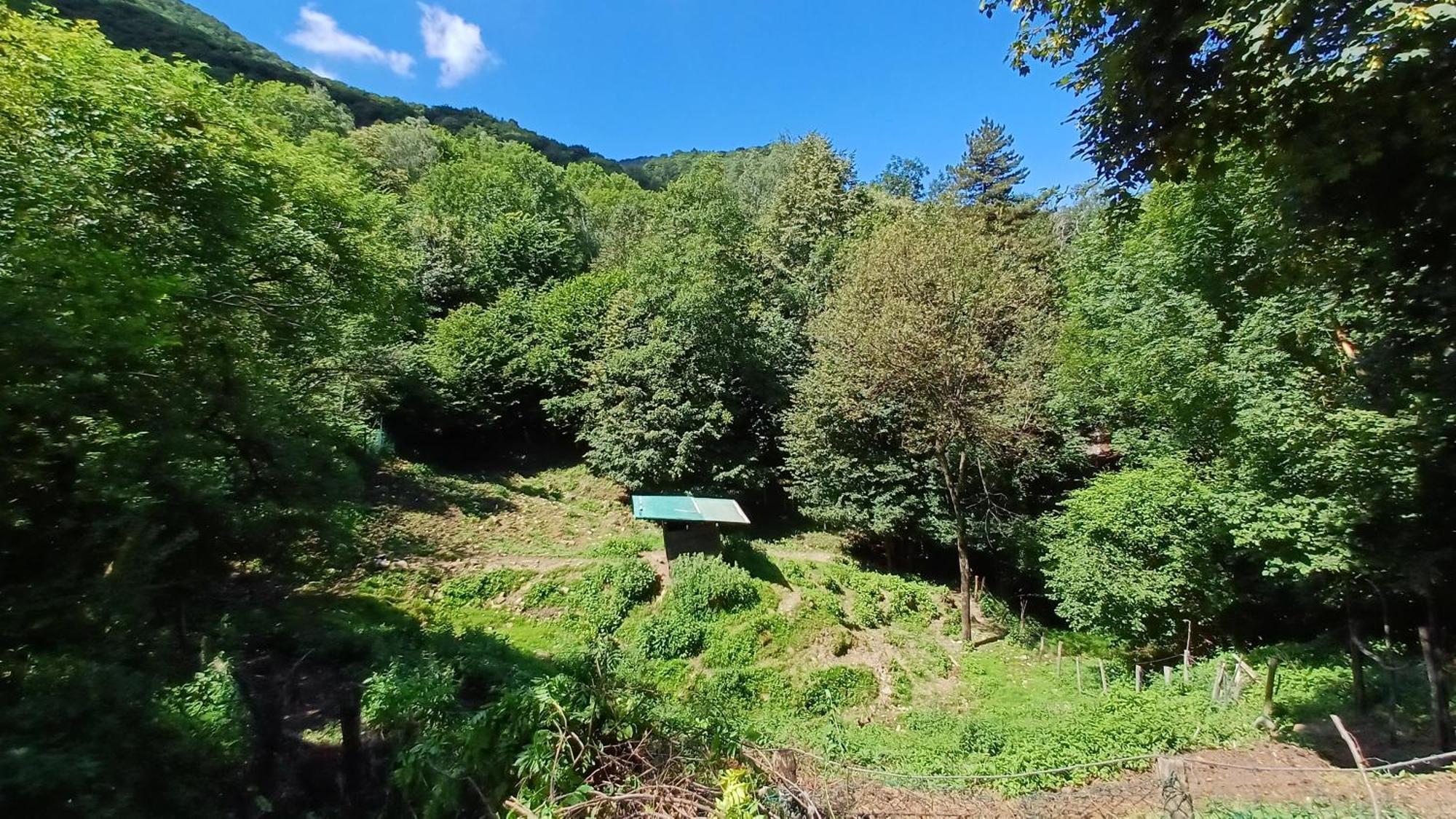La Stanza Del Bosco Διαμέρισμα Arcumeggia Εξωτερικό φωτογραφία