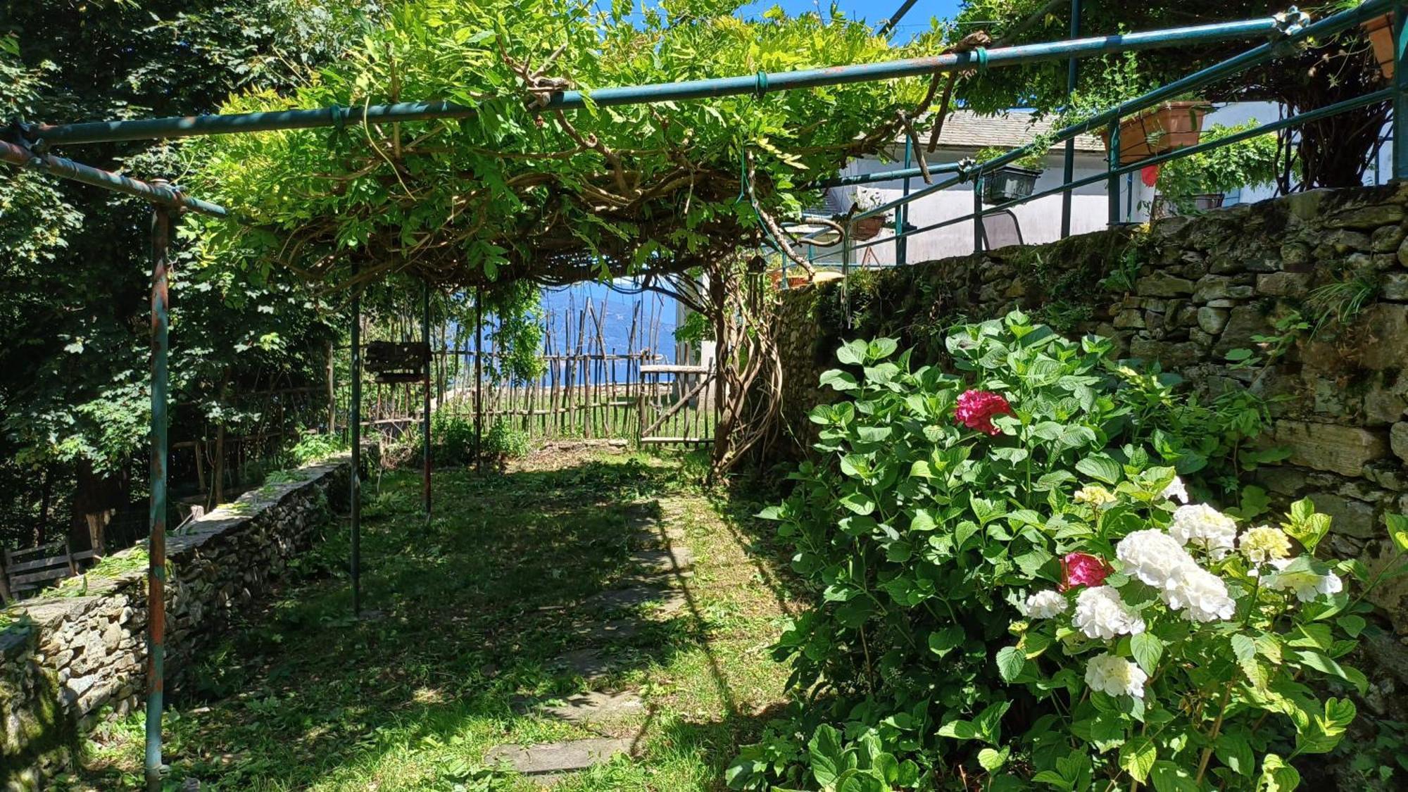 La Stanza Del Bosco Διαμέρισμα Arcumeggia Εξωτερικό φωτογραφία